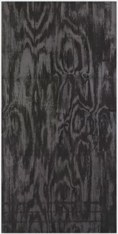 亚当·麦克尤恩，无题，2012年，石墨安装在铝板上，96 × 48英寸(243.8 × 121.9厘米)