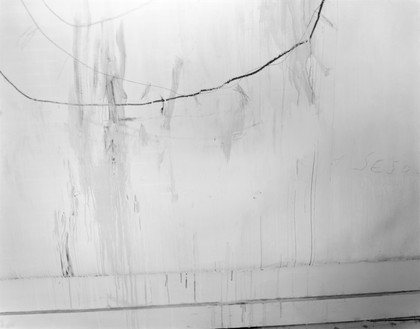 莎莉·曼恩，《被铭记的光，无题(苍白细节)》，1999-2000明胶银质印刷，16 × 20英寸(40.6 × 50.8厘米)，3版©莎莉·曼恩