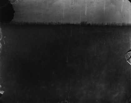 莎莉·曼恩，战场，安提特姆(蛛网)，2002年清漆明胶银印花，40 × 50英寸(101.6 × 127厘米)，5版©莎莉·曼恩