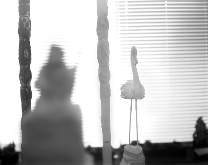 莎莉·曼恩，《被铭记的光，无题(心基上的火烈鸟)》，2012年明胶银版画，16 × 20英寸(40.6 × 50.8厘米)，3版©莎莉·曼恩
