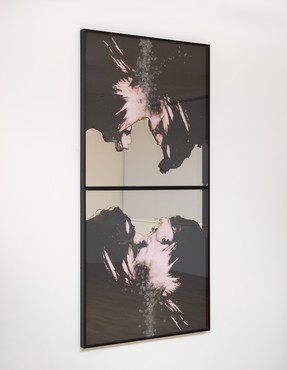 道格拉斯·戈登，《你+我的自画像》(2件作品安迪)，2008©Studio lost but found/VG Bild-Kunst，波恩，2018