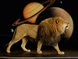 Awol Erizku，狮子(车身)I, 2022，灯箱上的Duratrans, 49 3 / 3 × 65⅝英寸(125.4 × 166.7 × 9.5厘米)©Awol Erizku