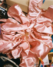 照片的粉红色缎面蝴蝶结由Roe Ethridge